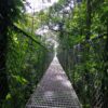 Hanging Bridges Walking Trails
