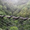 Hanging Bridges Walking Trails