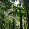 Hanging Bridges Walking Trails