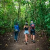 Hanging Bridges Walking Trails