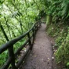 Hanging Bridges Walking Trails