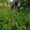 The Sloth Encounter