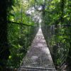 Hanging Bridges Walking Trails