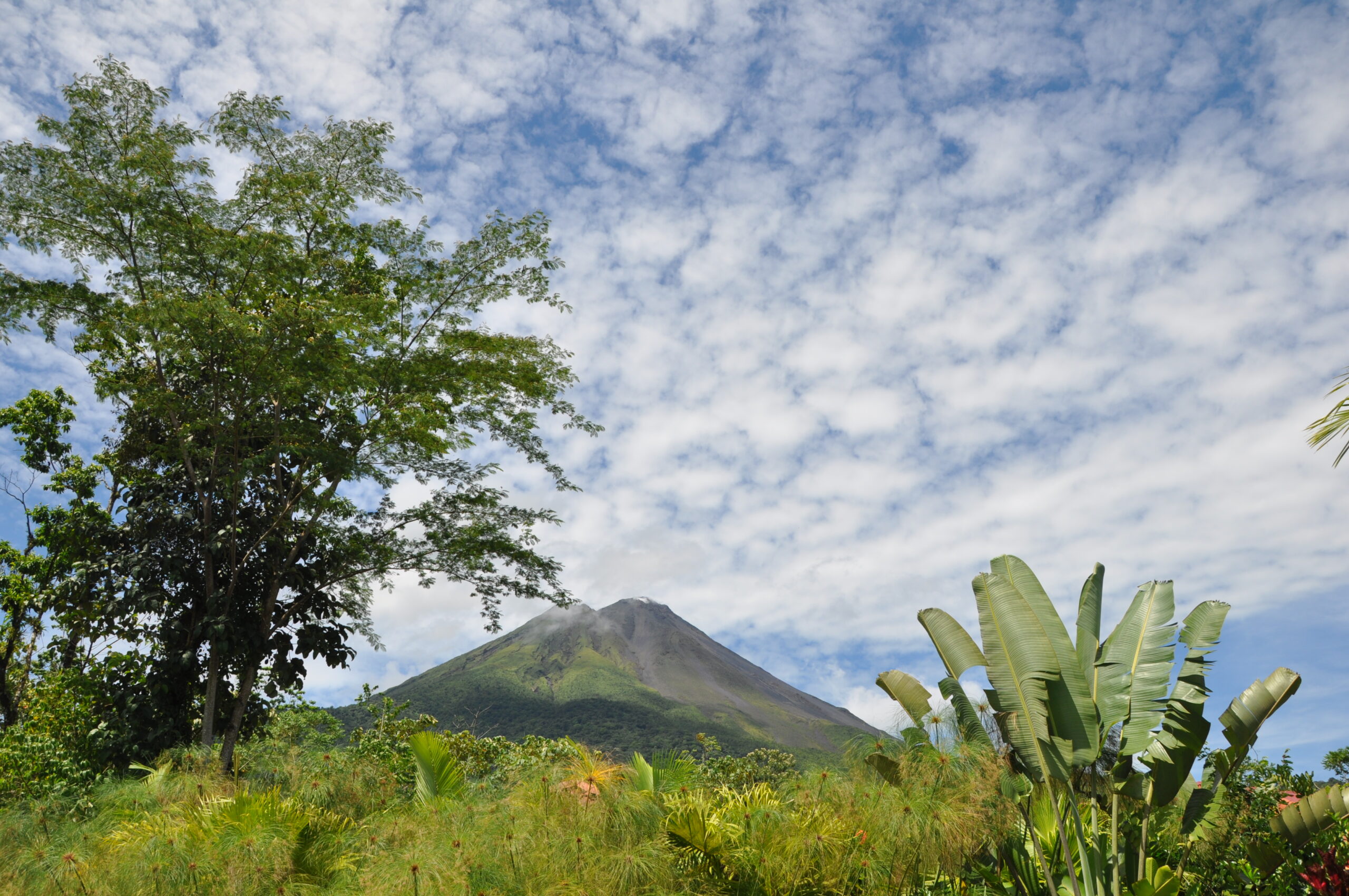Arenal Volcano rising above the national park forest