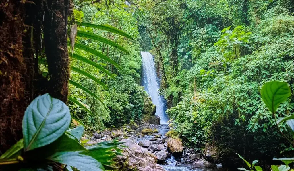La Paz Waterfall Gardens, optional stop on the San José Airport to La Fortuna transfer, Costa Rica